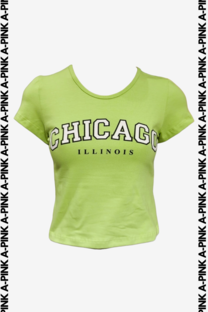 REMERA ALGODON CON LYCRA CHICAGO ILLINOIS - 