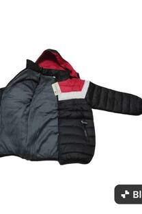 Campera tricolor 