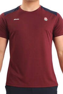 Remera Deportiva England  - 