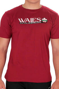 Remera Wales Live the Ages of Dragons - 