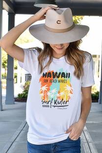 Remera Fit Hawaii Surf Rider colores verticales - 