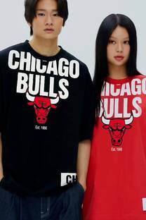 Remeron Chicago Bulls	 - 