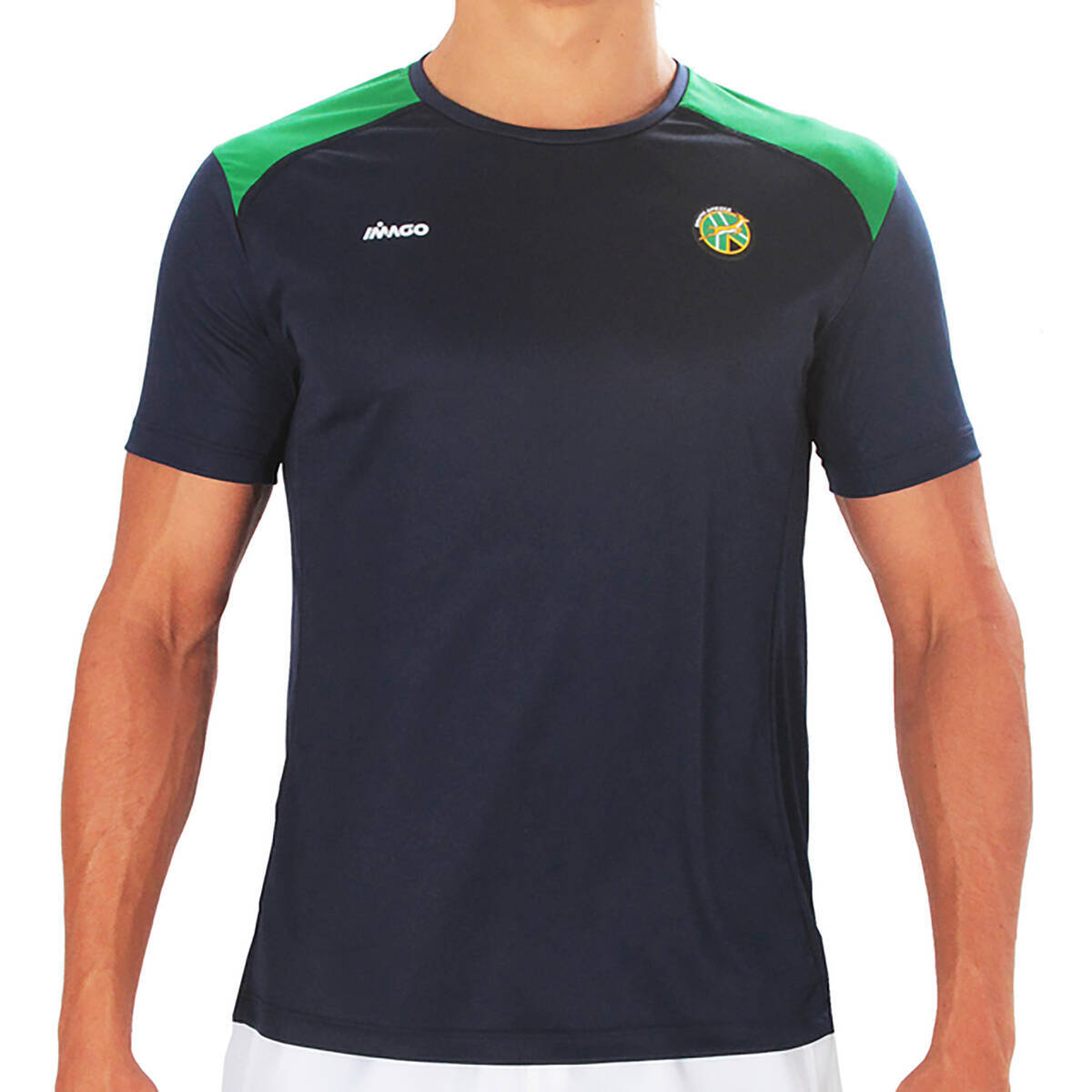 Imagen producto Remera Microfibra Springboks Team 13