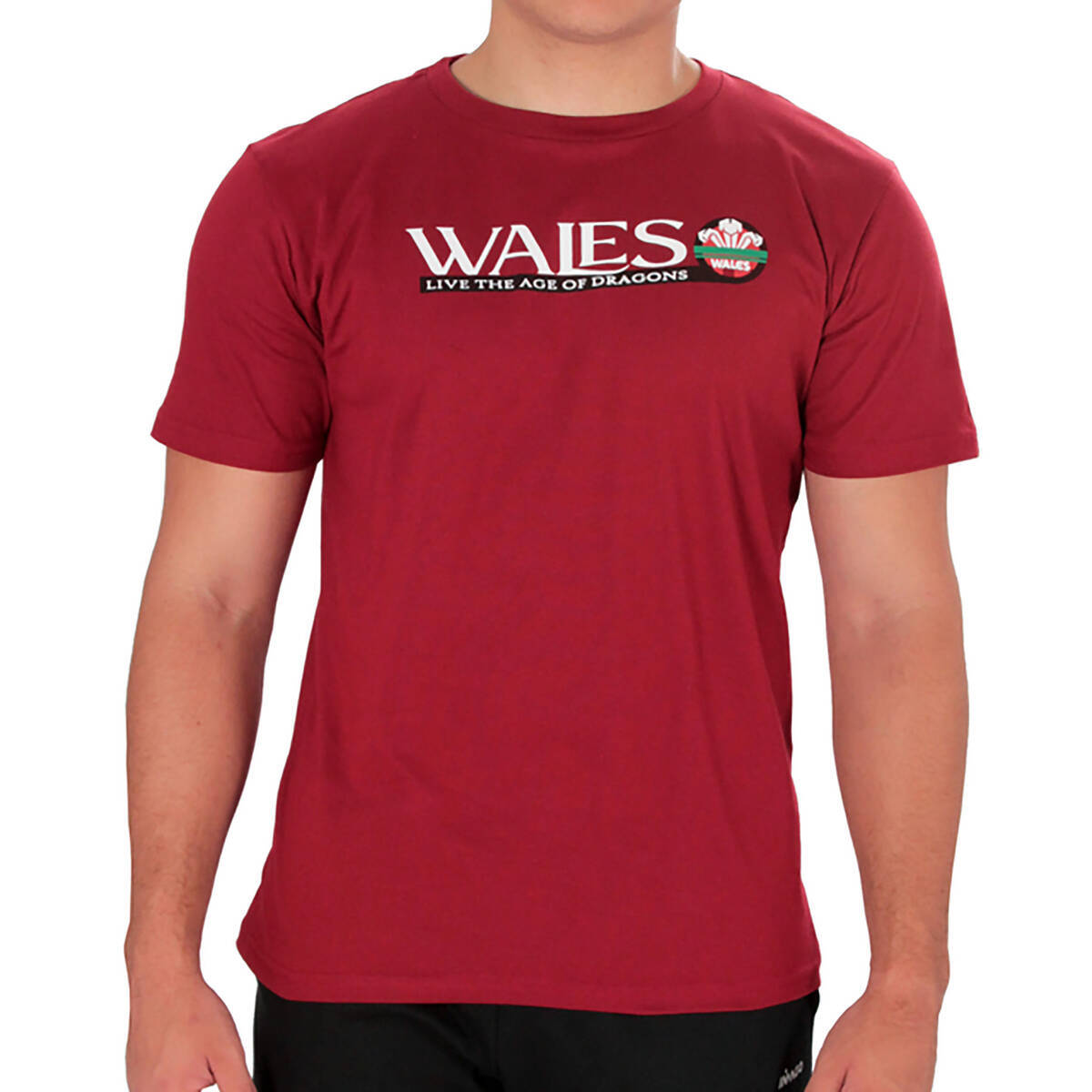 Imagen producto Remera Wales Live the Ages of Dragons 14